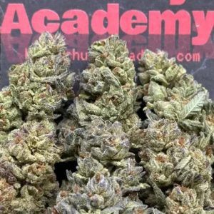 #L266 - Gelatii Cake (Sativa Hybrid)