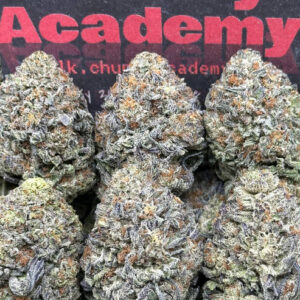 #B556 - Monkey Gelato 45 (Indica)