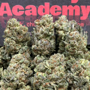 #B590 - MAC Diesel (Indica Hybrid)