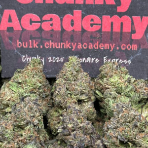 #B572 - Yuzu Pie (Hybrid)