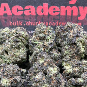 #B604 - Purple Fiesta (Hybrid)