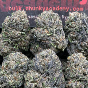 #B603 - Purple Fritter (Hybrid)