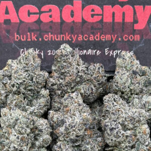 Chunky Academy Pablo Runtz (Indica)