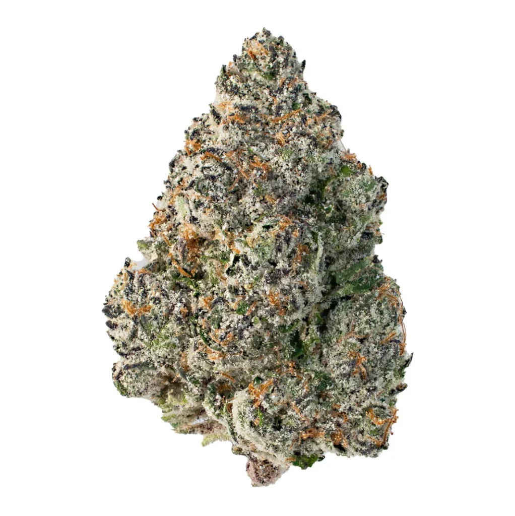 Chunky academy super exotics